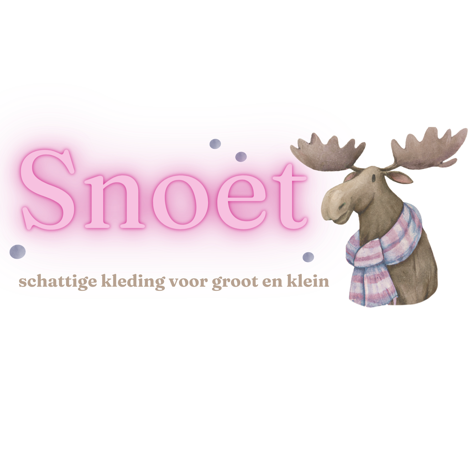 snoet.online