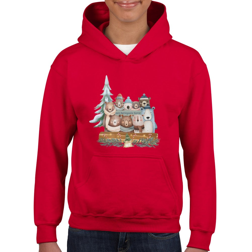 Een beregoeie kerst - hoodie kinderen